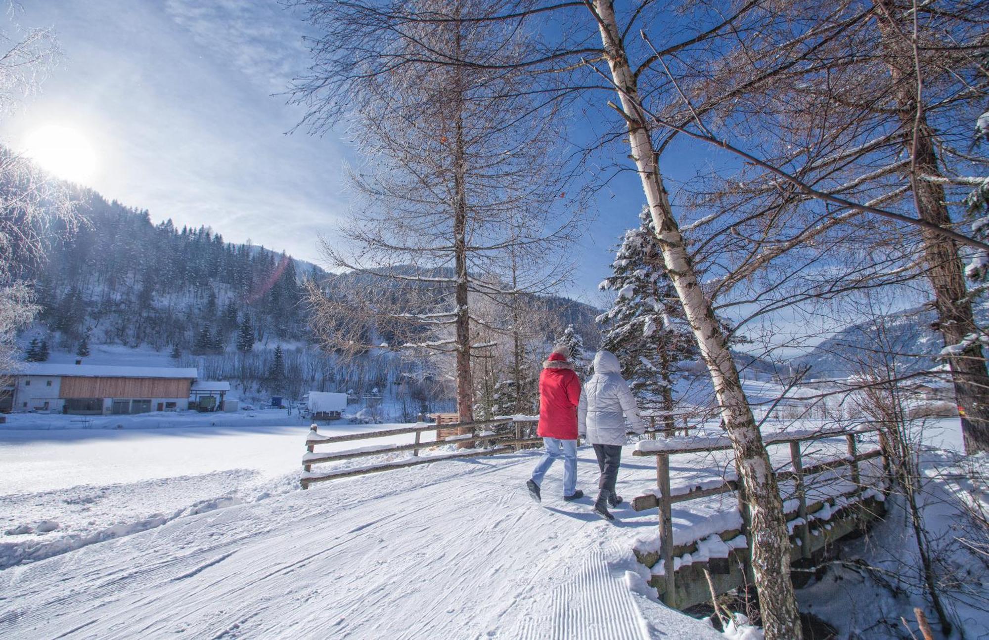 Das Landhaus Apartments Praegant Bad Kleinkirchheim Esterno foto